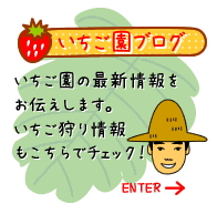 いちご園ブログへ＞＞いちご園の最新情報をお伝えします。いちご狩り情報もこちらでCHECK!