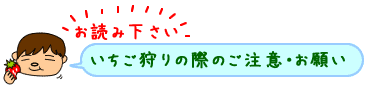 いちご狩りの際の注意・お願い