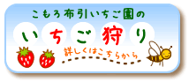 いちご狩りのご案内はこちら