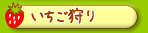 ●いちご狩り　おいしさ状況、料金など
