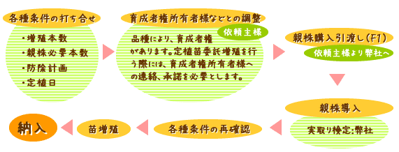 納入までの流れ図解