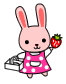 うさぎミニ