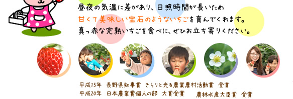 「こもろ布引いちご園」は軽井沢に近い 信州小諸にあります。
浅間山の大自然に恵まれた小諸の気候は、
昼夜の気温に差があり、日照時間が長いため
甘くて美味しい宝石のようないちごを育んでくれます。
真っ赤な完熟いちごを食べに、ぜひお立ち寄りください。平成15年　長野県知事賞　きらりと光る農業農村活動賞　受賞　平成20年　日本農業賞個人の部　大賞受賞　農林水産大臣賞　受賞