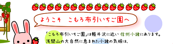 ようこそこもろ布引いちご園へ